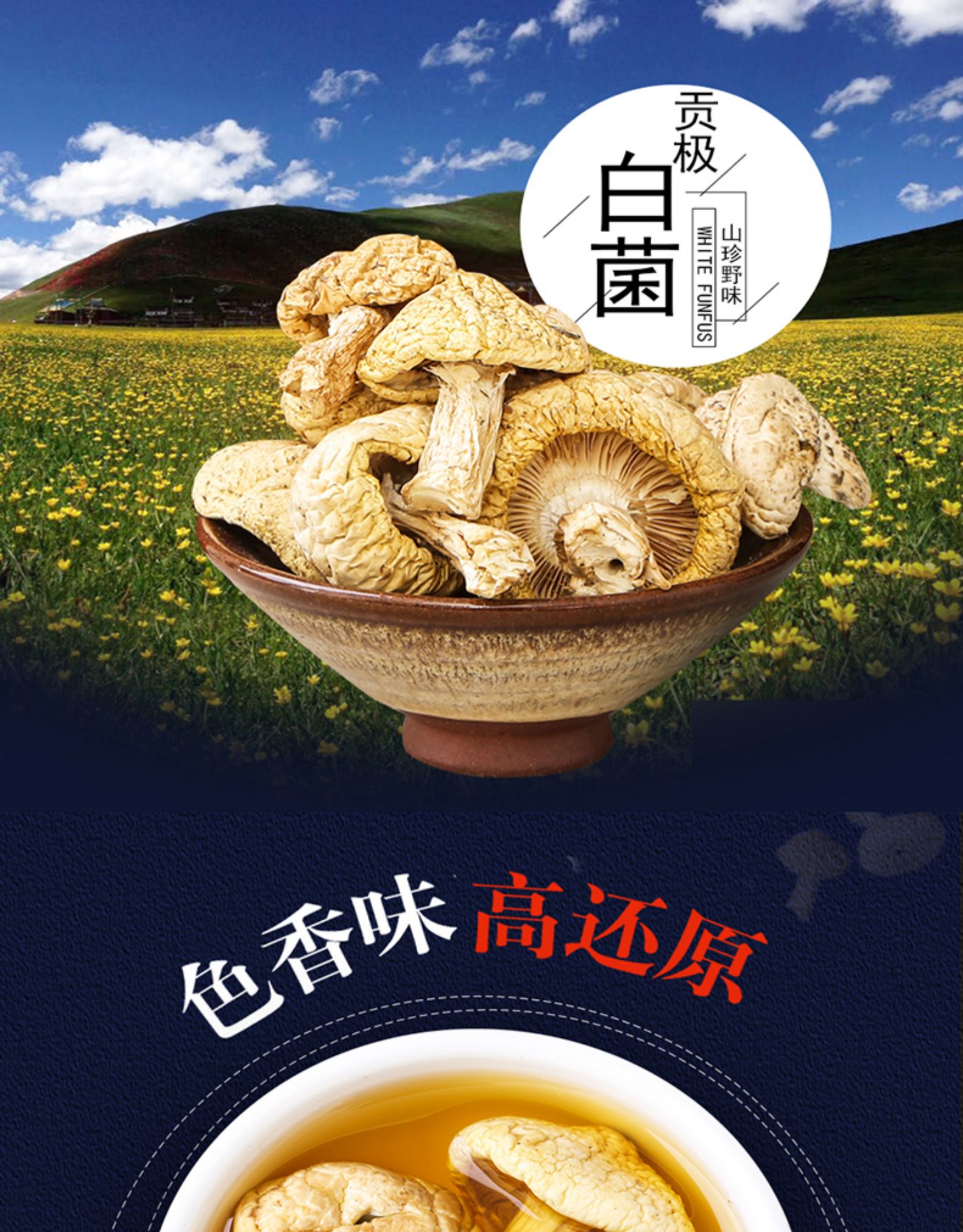 贡极石渠白菌菇野生菌类干货甘孜特产山珍白蘑菇送礼食品50g 成都