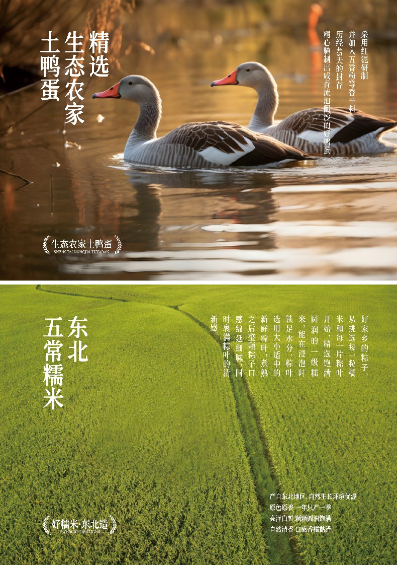 通用详情同 (3).jpg